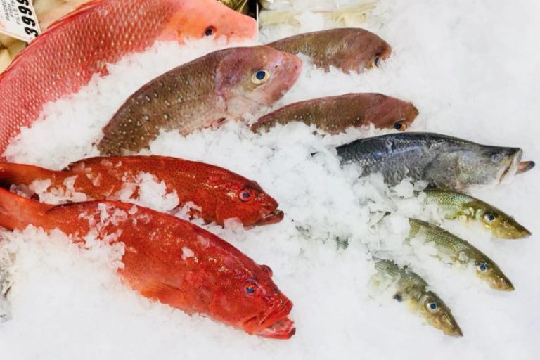 Fresh Seafood Seafood Market at Caloundra